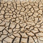 10 Jednoduchých Způsobů, Jak Být Šetrnější k Naší Planetě 10 Jednoduchých Způsobů, Jak Být Šetrnější k Naší Planetě