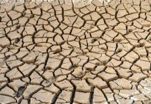 10 Jednoduchých Způsobů, Jak Být Šetrnější k Naší Planetě 10 Jednoduchých Způsobů, Jak Být Šetrnější k Naší Planetě