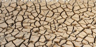 10 Jednoduchých Způsobů, Jak Být Šetrnější k Naší Planetě 10 Jednoduchých Způsobů, Jak Být Šetrnější k Naší Planetě