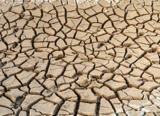 10 Jednoduchých Způsobů, Jak Být Šetrnější k Naší Planetě 10 Jednoduchých Způsobů, Jak Být Šetrnější k Naší Planetě