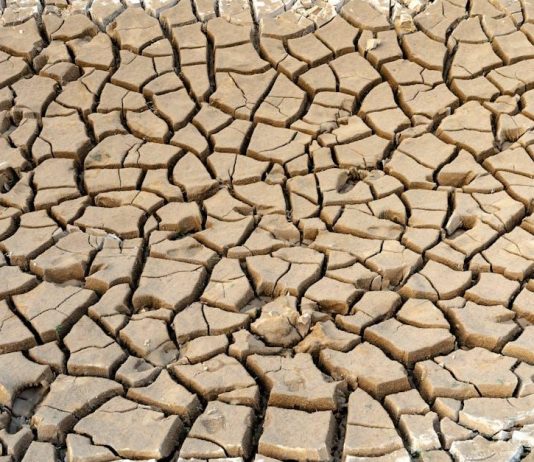10 Jednoduchých Způsobů, Jak Být Šetrnější k Naší Planetě 10 Jednoduchých Způsobů, Jak Být Šetrnější k Naší Planetě