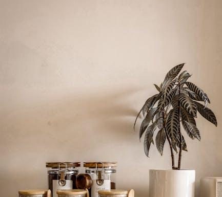 Stévie versus sukralóza: Které sladidlo je zdravější? Stévie versus sukralóza: Které sladidlo je zdravější?