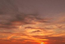 Rozum v troubě s Vaňkem a Havlíčkem: Jak přidávání proteinů do jídla ovlivňuje naši stravu? Rozum v troubě s Vaňkem a Havlíčkem: Jak přidávání proteinů do jídla ovlivňuje naši stravu?