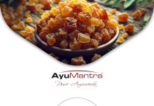Boswellia – Optimální Výživa pro Klouby? Boswellia – Optimální Výživa pro Klouby?