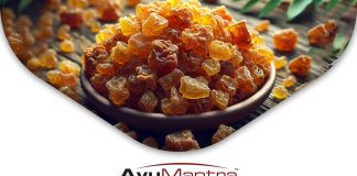 Boswellia – Optimální Výživa pro Klouby? Boswellia – Optimální Výživa pro Klouby?