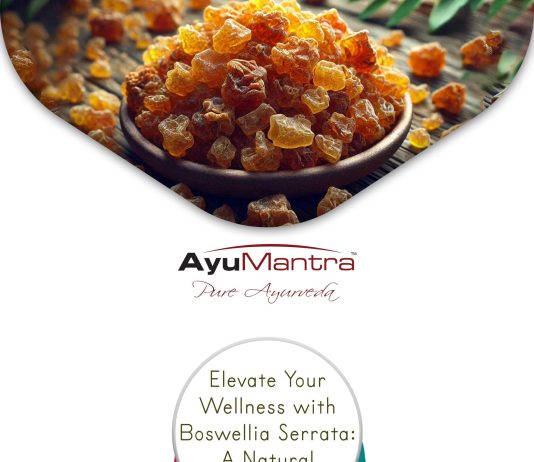 Boswellia – Optimální Výživa pro Klouby? Boswellia – Optimální Výživa pro Klouby?