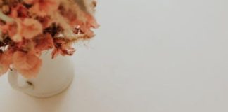 3 rychlé silvestrovské lahůdky, které zmizí dříve, než řeknete „Nový rok“ 3 rychlé silvestrovské lahůdky, které zmizí dříve, než řeknete „Nový rok“