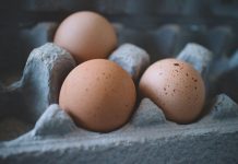 Protein vyrobený ze vzduchu: Ekologická revoluce v oblasti potravy? Protein vyrobený ze vzduchu: Ekologická revoluce v oblasti potravy?