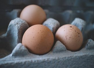 Protein vyrobený ze vzduchu: Ekologická revoluce v oblasti potravy? Protein vyrobený ze vzduchu: Ekologická revoluce v oblasti potravy?
