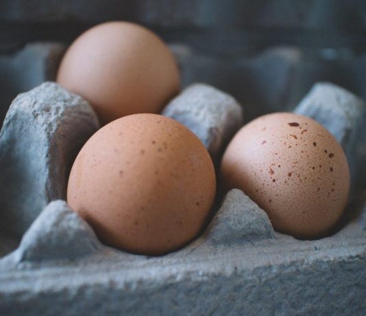 Protein vyrobený ze vzduchu: Ekologická revoluce v oblasti potravy? Protein vyrobený ze vzduchu: Ekologická revoluce v oblasti potravy?
