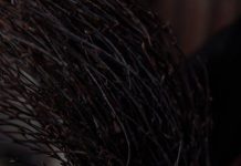 Odhalení Mýtu: Kosti Rostou Pouze do 30 Let a Mléko Jako Zdroj Vápníku Odhalení Mýtu: Kosti Rostou Pouze do 30 Let a Mléko Jako Zdroj Vápníku