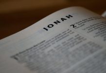 Jonáš Petřík: Fitness je pro mě divadlo, já jsem ale především trenér Jonáš Petřík: Fitness je pro mě divadlo, já jsem ale především trenér