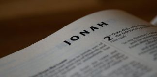 Jonáš Petřík: Fitness je pro mě divadlo, já jsem ale především trenér Jonáš Petřík: Fitness je pro mě divadlo, já jsem ale především trenér