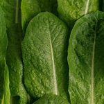 Veganství: Je To Zdravé? Pro a Proti Dietnímu Režimu, Který Přerostl v Životní Styl Veganství: Je To Zdravé? Pro a Proti Dietnímu Režimu, Který Přerostl v Životní Styl