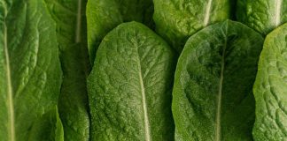 Veganství: Je To Zdravé? Pro a Proti Dietnímu Režimu, Který Přerostl v Životní Styl Veganství: Je To Zdravé? Pro a Proti Dietnímu Režimu, Který Přerostl v Životní Styl