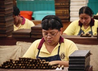 Každý Čech sní průměrně 14 kg sýru za rok. Které jsou nejzdravější možnosti? Každý Čech sní průměrně 14 kg sýru za rok. Které jsou nejzdravější možnosti?