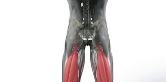 Hamstringy: 7 účinných cvičení pro posílení, zpevnění a vytvarování zadní strany stehen