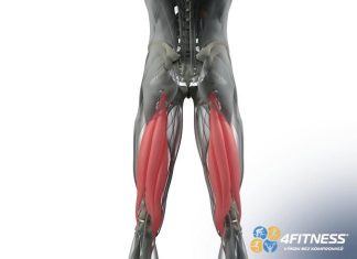 Hamstringy: 7 účinných cvičení pro posílení, zpevnění a vytvarování zadní strany stehen Hamstringy: 7 účinných cvičení pro posílení, zpevnění a vytvarování zadní strany stehen