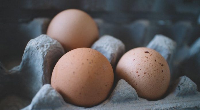 Protein při hubnutí: Jak vybrat ten nejlepší pro dosažení cílů? Protein při hubnutí: Jak vybrat ten nejlepší pro dosažení cílů?