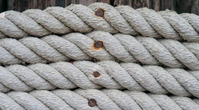 Otužování proti nachlazení: Sedm zásad, které byste měli znát Otužování proti nachlazení: Sedm zásad, které byste měli znát