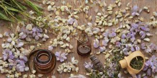 Aromaterapie: Jak začít a kdy pomáhá Aromaterapie: Jak začít a kdy pomáhá